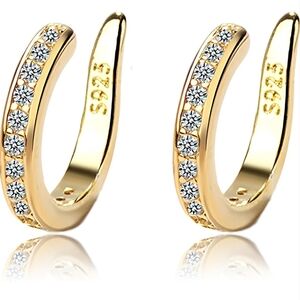 925 Sterling Silver Earrings For Women